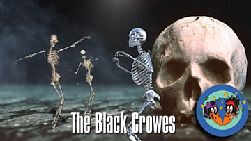 Black Crowes. Pharmacy Chronicles from A Pound of Feathers. 