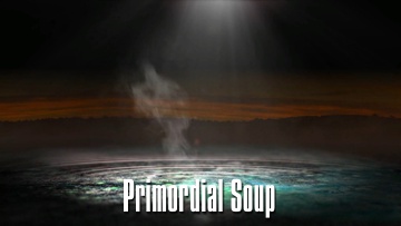 Primordial Soup